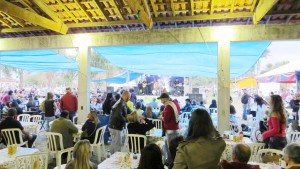Festival do Arroz (1)