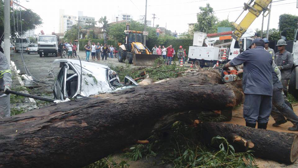 Bombeiros retiram árvore após forte chuva em Guaratinguetá (Francisco Assis) 