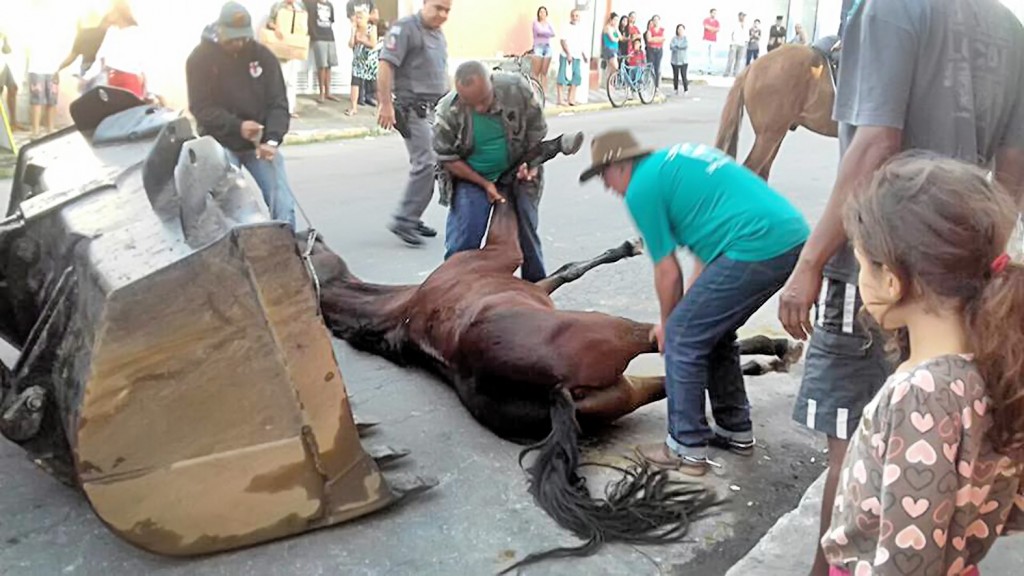 Cavaleiros e policiais recolhem cavalo que morreu durante cavalaria no último dia 20; grupo denuncia abuso (Foto: Reprodução/Facebook)