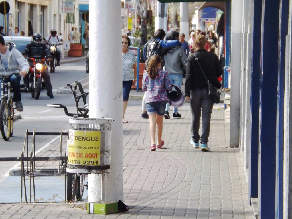 Avisos, visitas e varredura; campanha é intensificada em Lorena, após série de ADLs indicarem risco (Foto: Arquivo Atos)