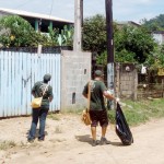 Com 52 casos registrados, Ubatuba tenta afastar risco de epidemia de dengue