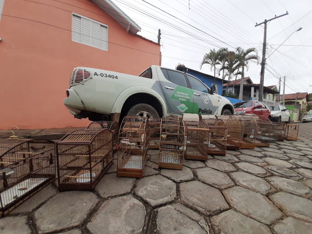 A viatura da Polícia Ambiental que captou aves em Lagoinha (Foto: Divulgação PM)