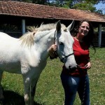 Moradora de Canas lança campanha para recuperar égua furtada