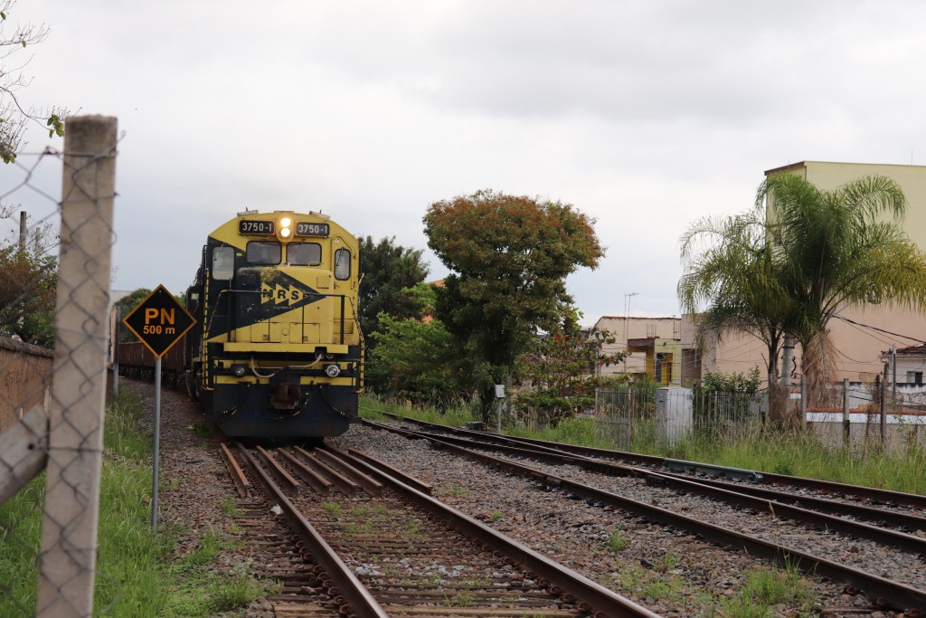 Trem da MRS, responsável pela malha ferroviária na região; entidade abre vagas de estágio (Foto: Marcelo A. dos Santos)