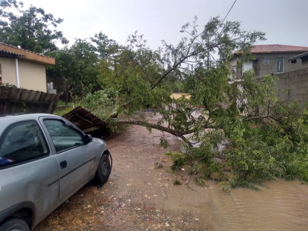Fortes chuvas também registraram quedas de árvores em Guaratinguetá; bairros sofrem com alagamentos (Foto: Divulgação PMG)