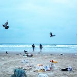Iniciativa remunera pescadores para retirarem lixo do mar de Ubatuba