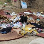 Trabalhadores da coleta de lixo fazem paralisação por pagamento de PLR em Pinda