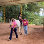 Cachoeira Paulista  implanta programa de equoterapia para crianças autistas