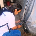Para evitar nova epidemia, Caraguatatuba reforça mutirão contra a dengue