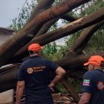 Defesa Civil de Pinda reforça ações preventivas a desastres naturais causados por chuva