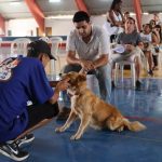 Prefeitura abre cadastro para novo Mutirão de Castração de cães e gatos em Guará