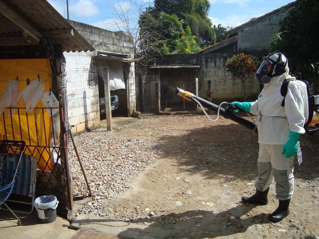 Pindamonhangaba erreicht in fünf Monaten mehr als siebenhundert Dengue-Fälle – Jornal Atos