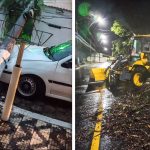 Cidades afetadas pela tempestade atuam em áreas com quedas de árvores, postes e destelhamentos