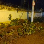 Prefeitura foca recuperação de muro do Solar Baptista D’Azevedo após queda de árvore durante tempestade