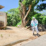 Avanço da dengue assusta cidades, que iniciam guerra contra o Aedes aegypti