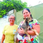Associação de Amparo Animal tenta subsidio em Aparecida